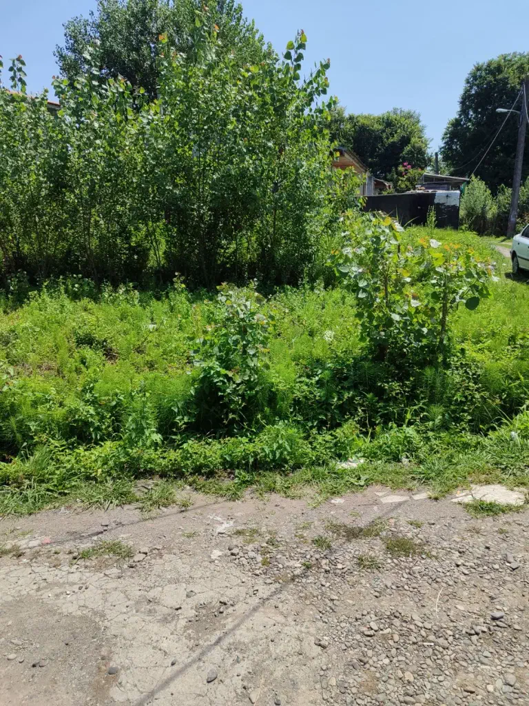 تصویر املاک 141658