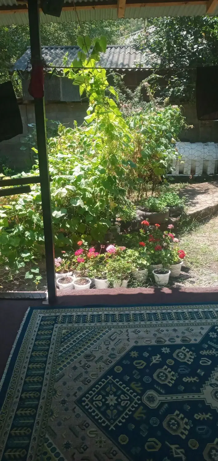 تصویر املاک 117428