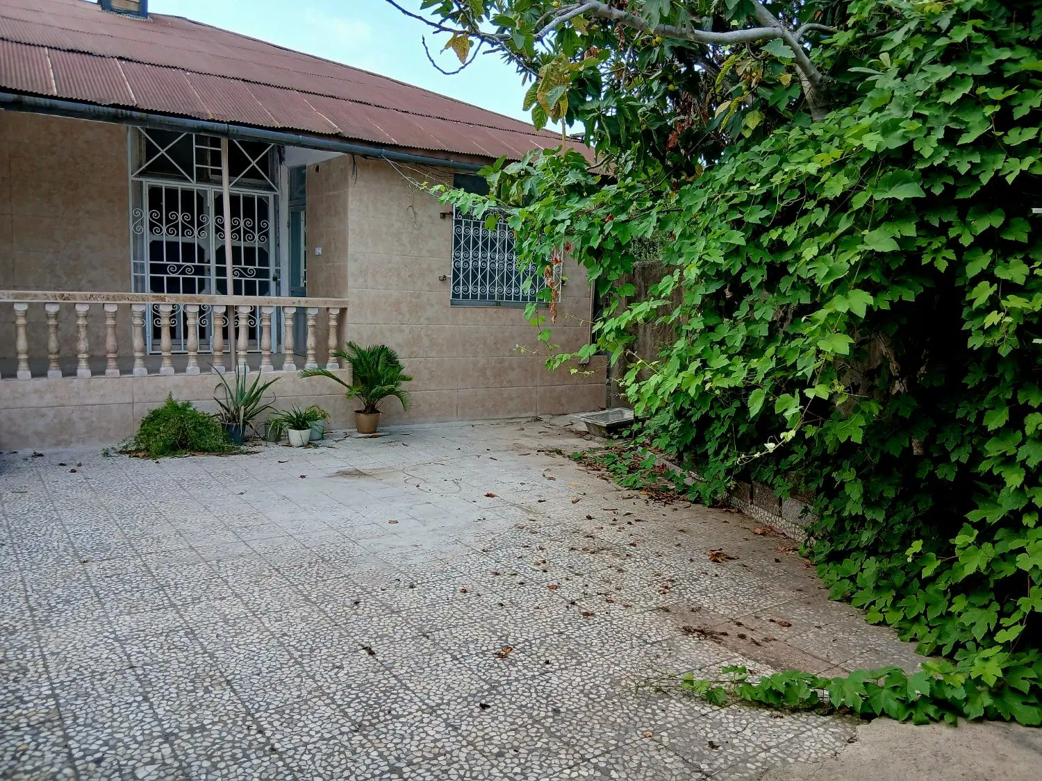 تصویر املاک 117801