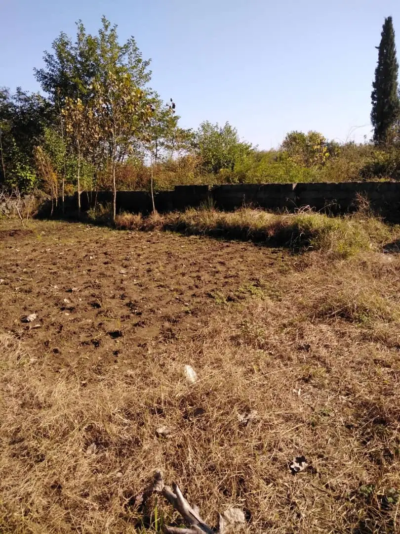 تصویر املاک 81064