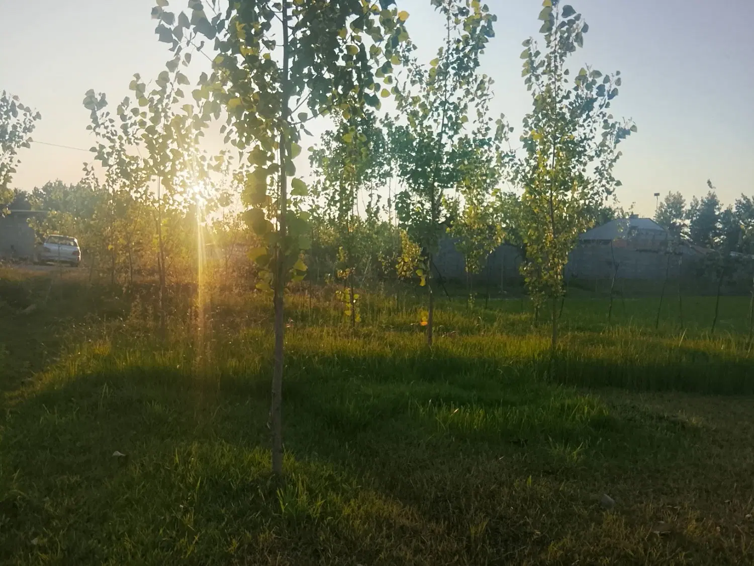 تصویر املاک 108807