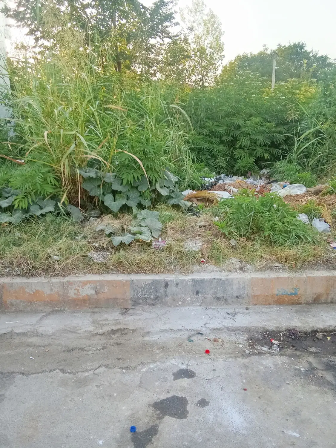 تصویر املاک 100730