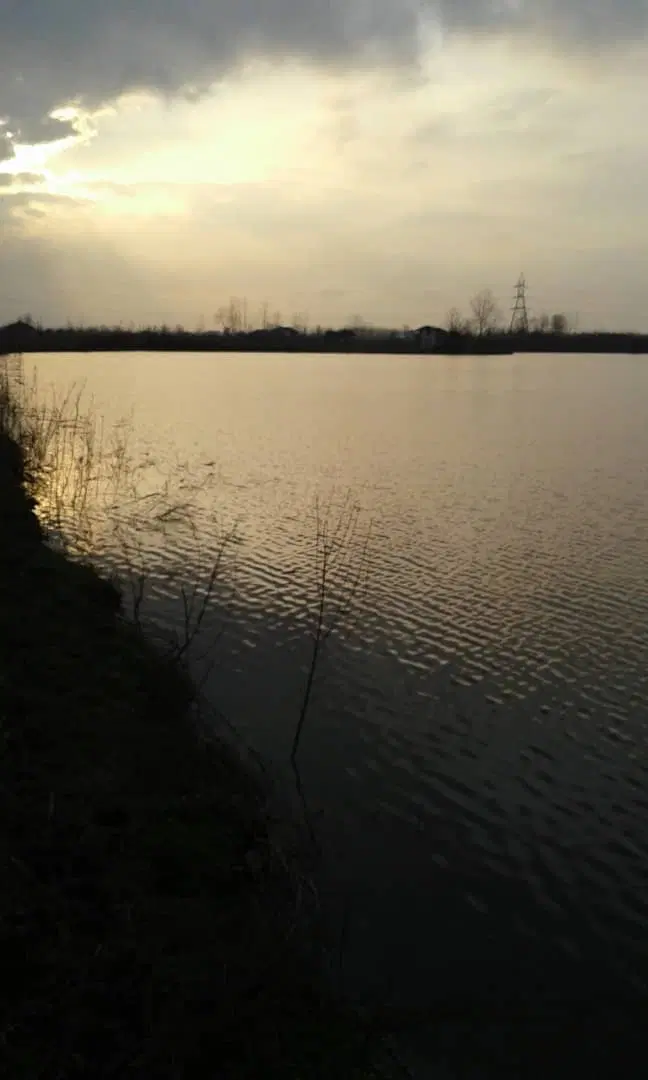 تصویر املاک 66585