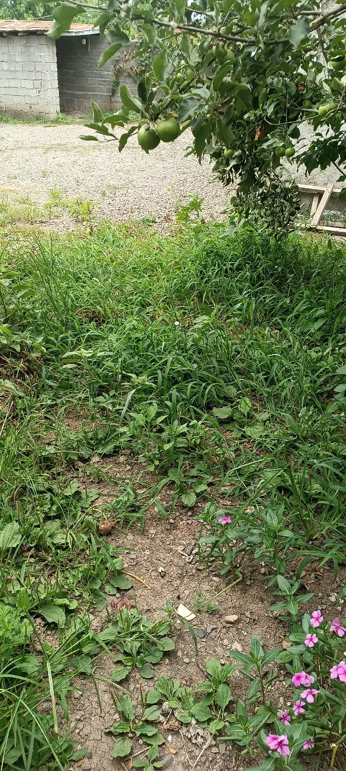 تصویر املاک 97134