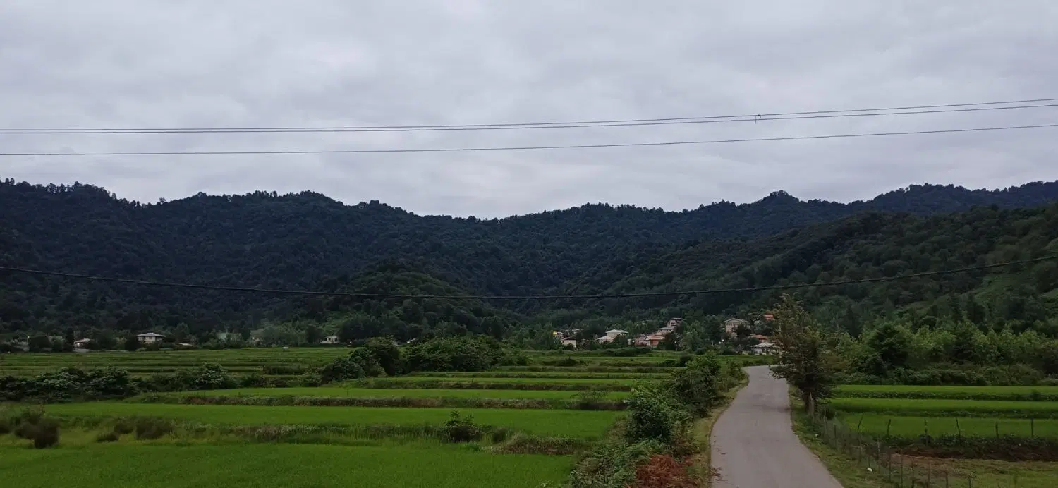 تصویر املاک 96699