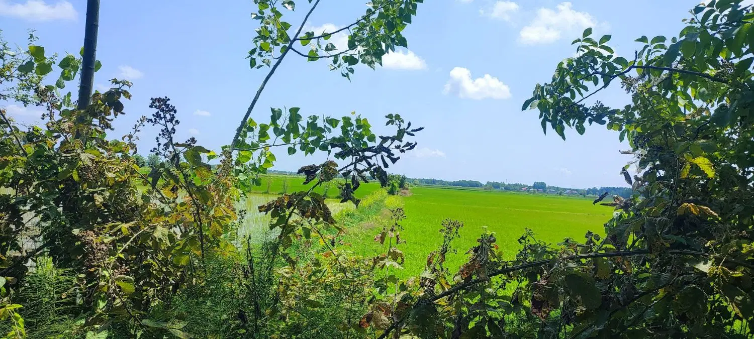 تصویر املاک 113247