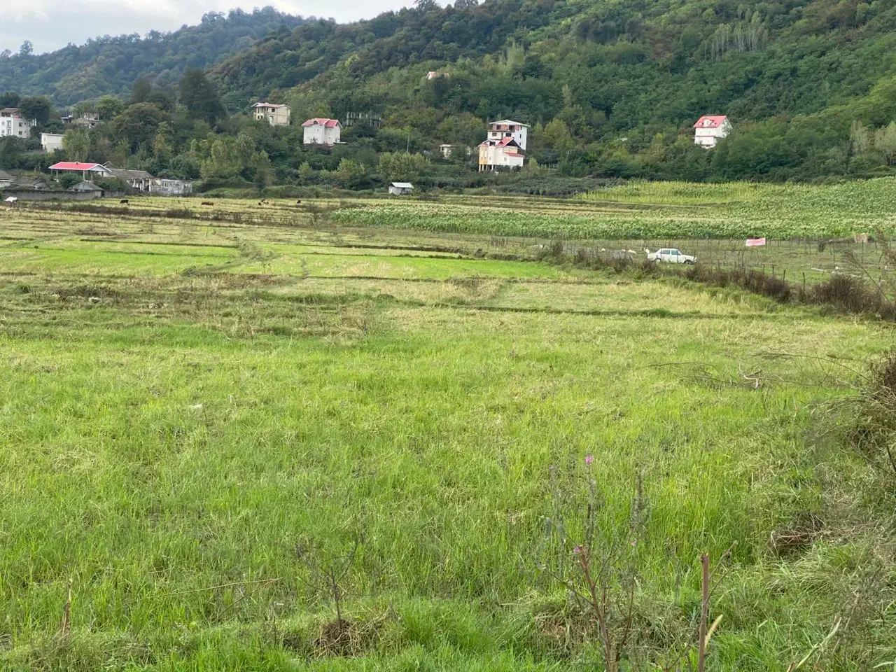 تصویر املاک 31395