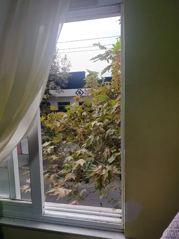 تصویر املاک 140703