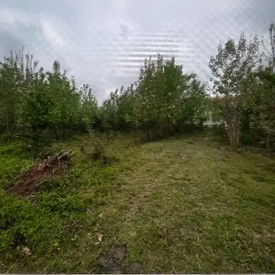 تصویر املاک 43805