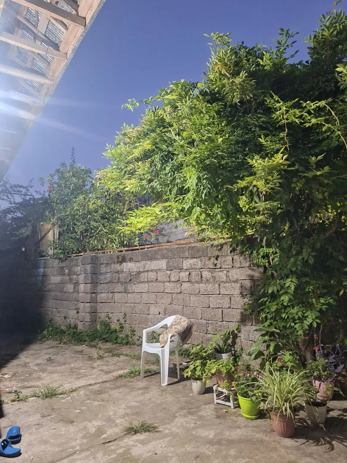 تصویر املاک 98780