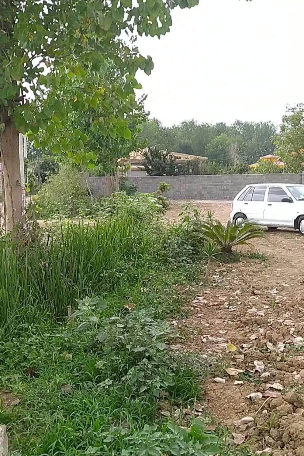 تصویر املاک 112320