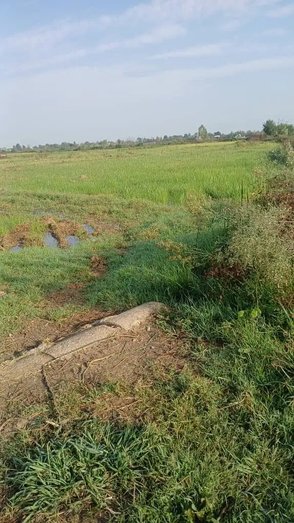 تصویر املاک 90090