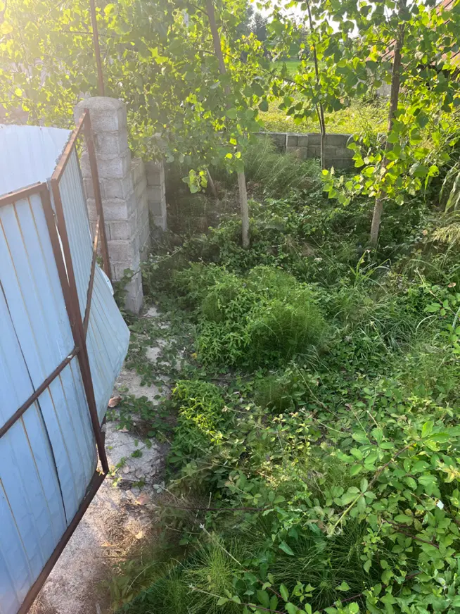 تصویر املاک 79244