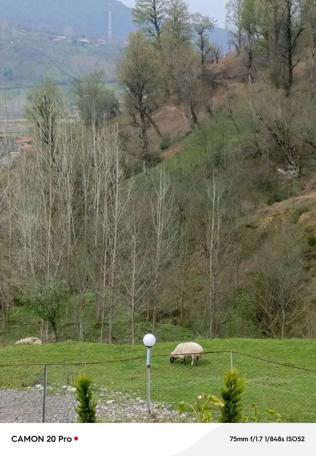 تصویر املاک 104801