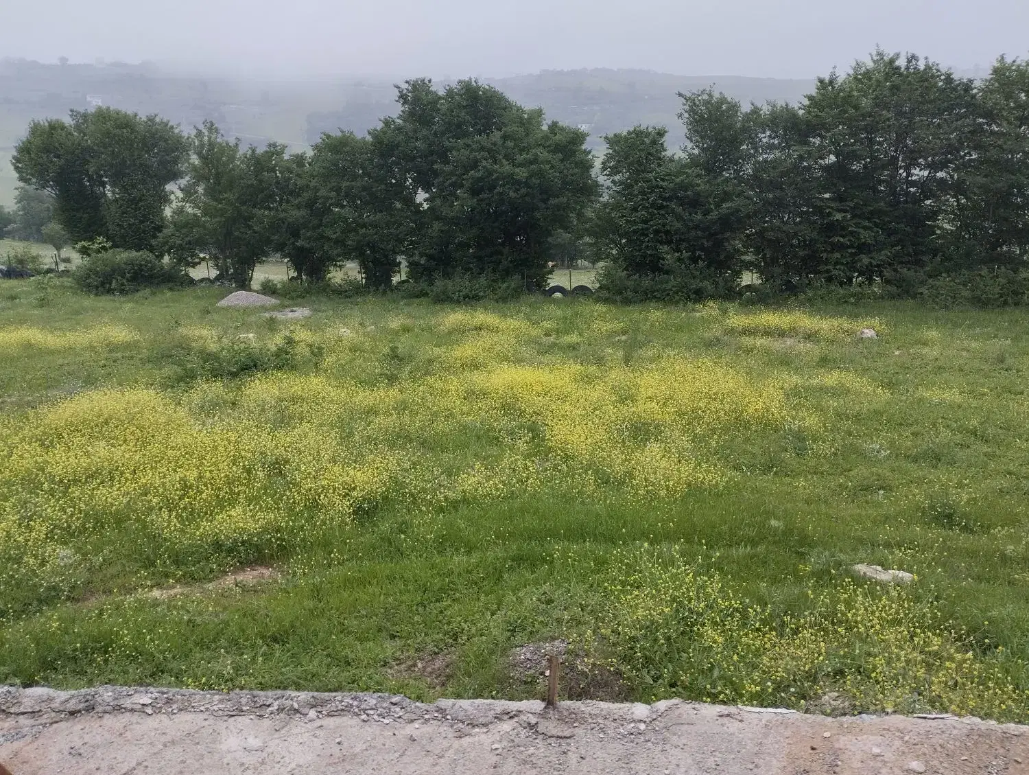 تصویر املاک 52262