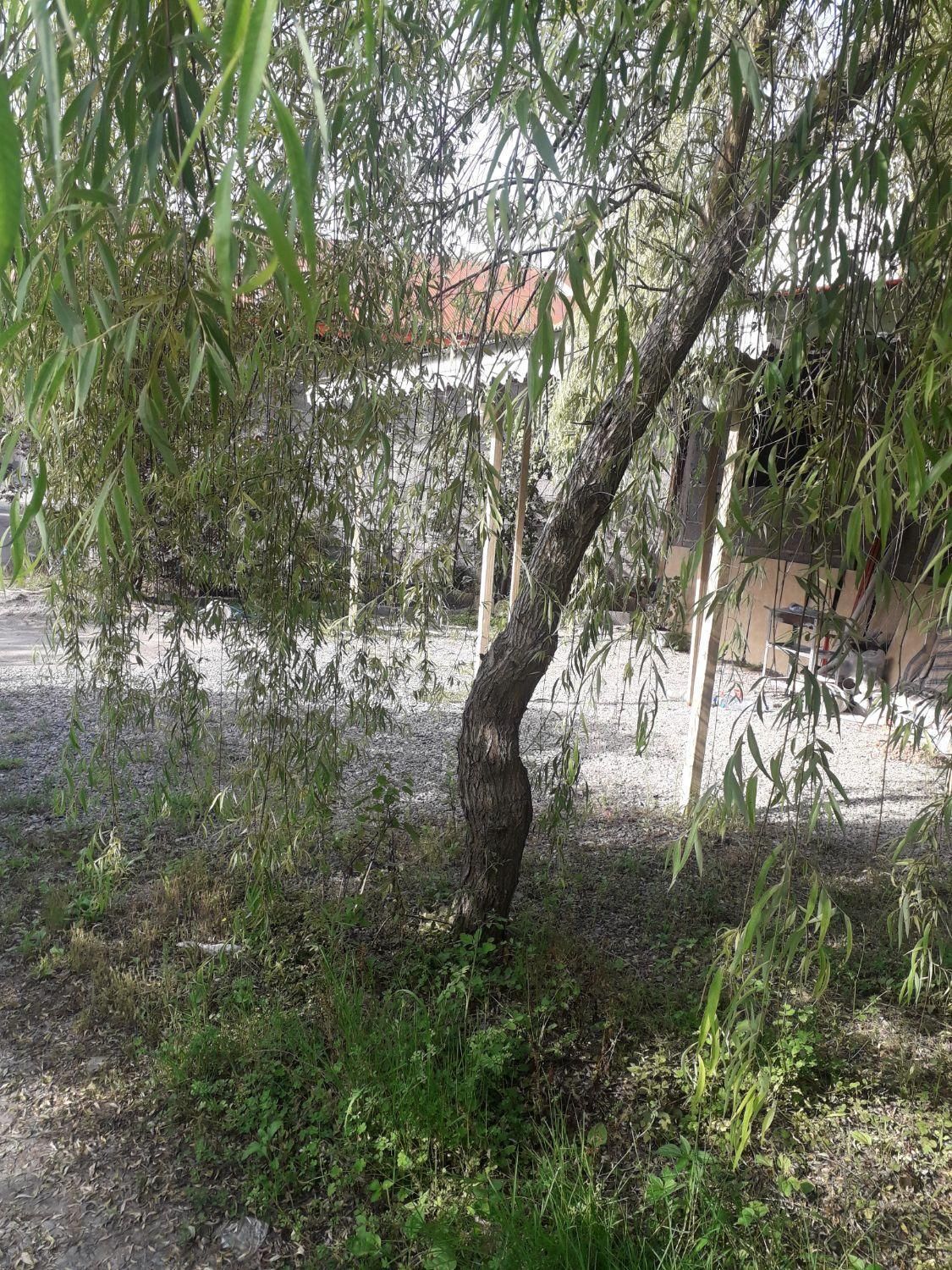 تصویر املاک 97901