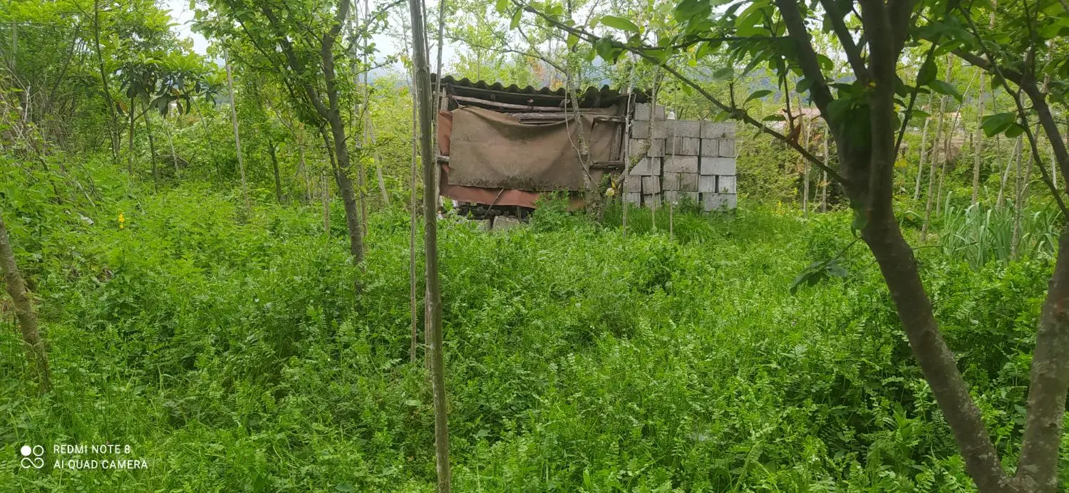 تصویر املاک 100262