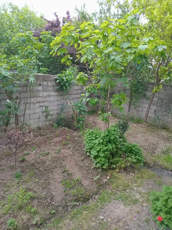 تصویر املاک 67736