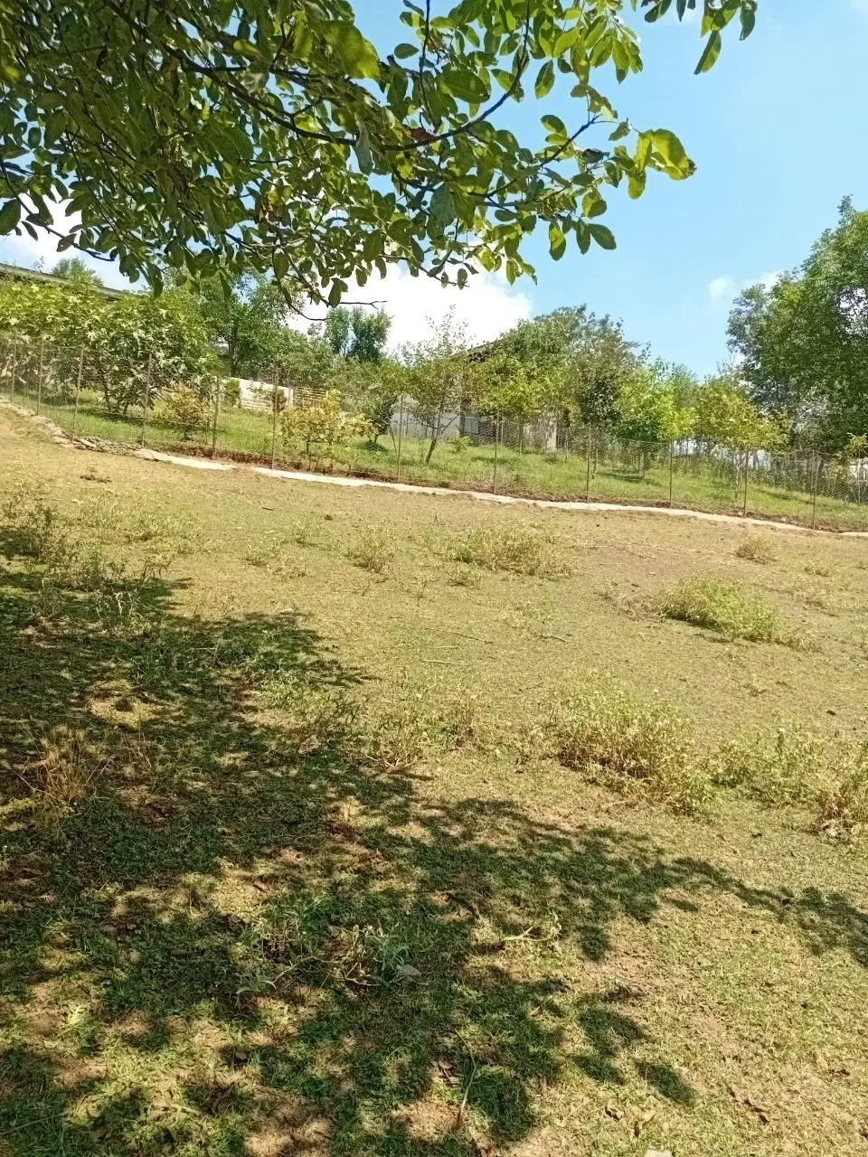 تصویر املاک 99947