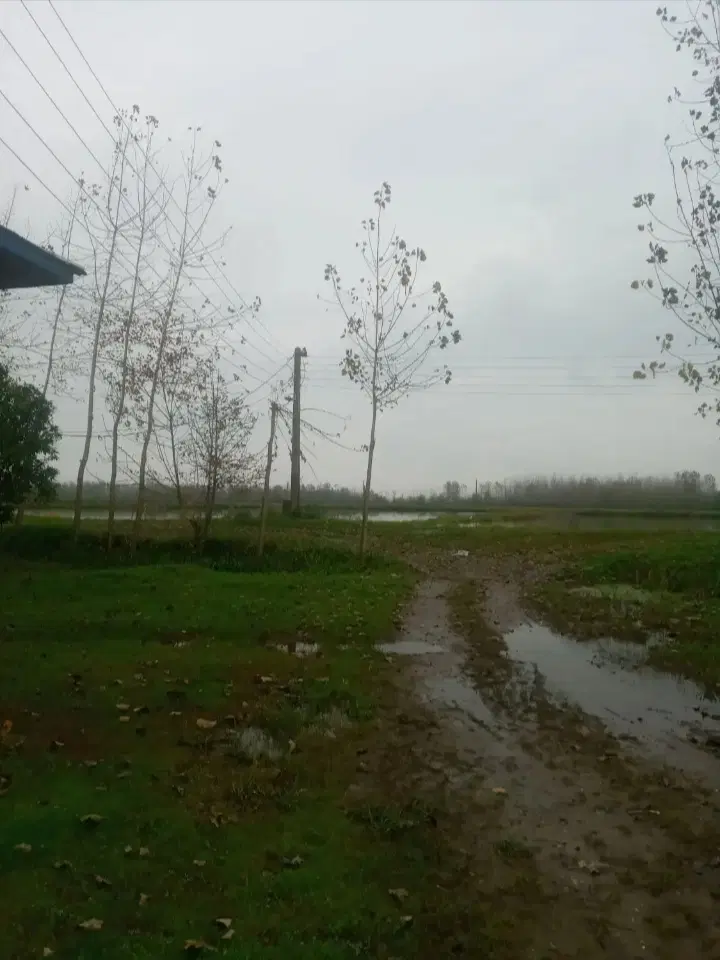تصویر املاک 100080