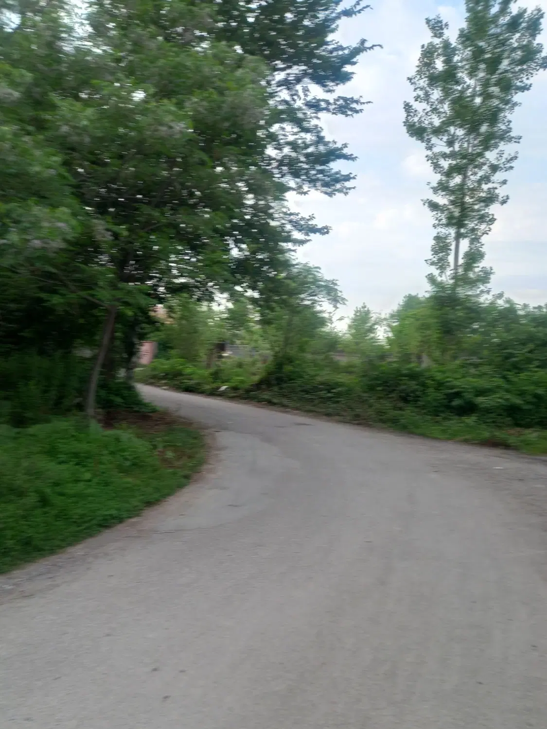 تصویر املاک 62944