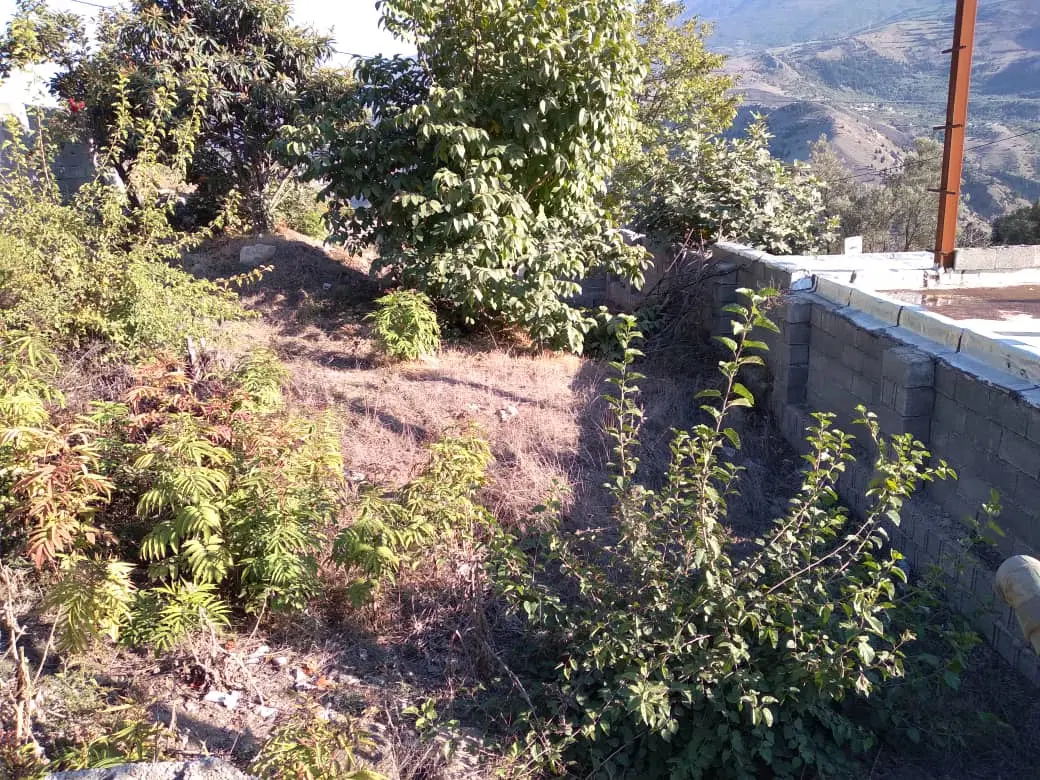 تصویر املاک 70092