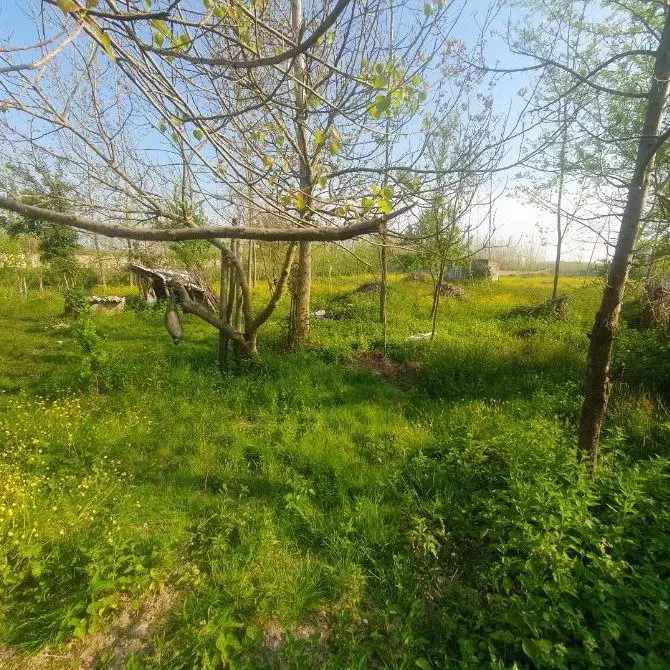 تصویر املاک 87140