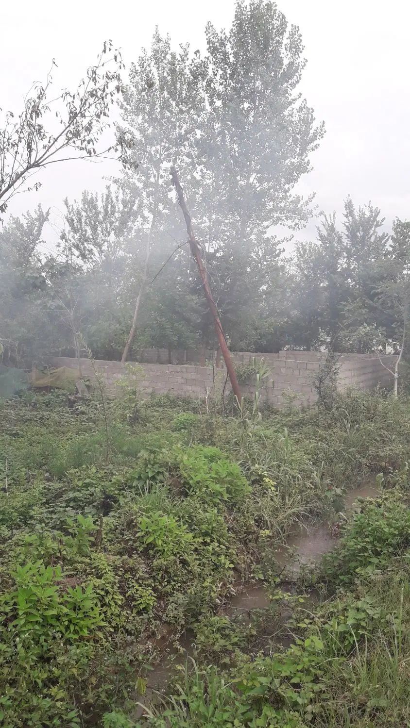 تصویر املاک 80844