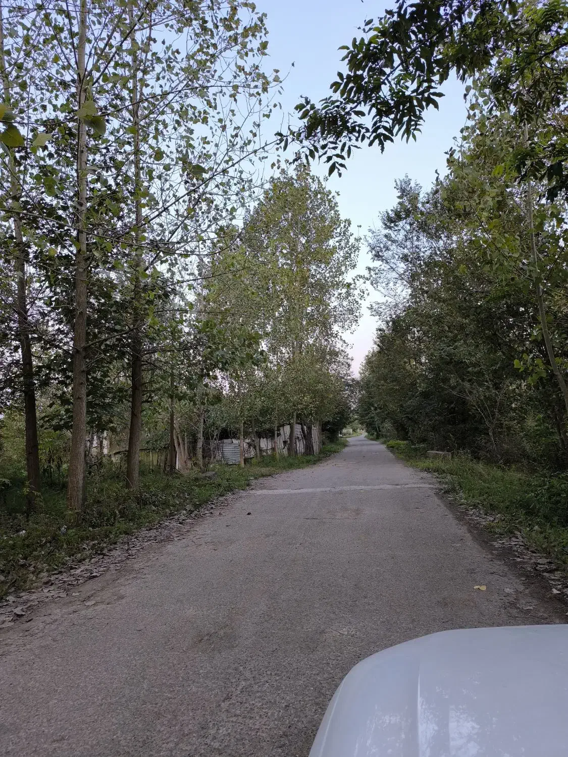 تصویر املاک 39348