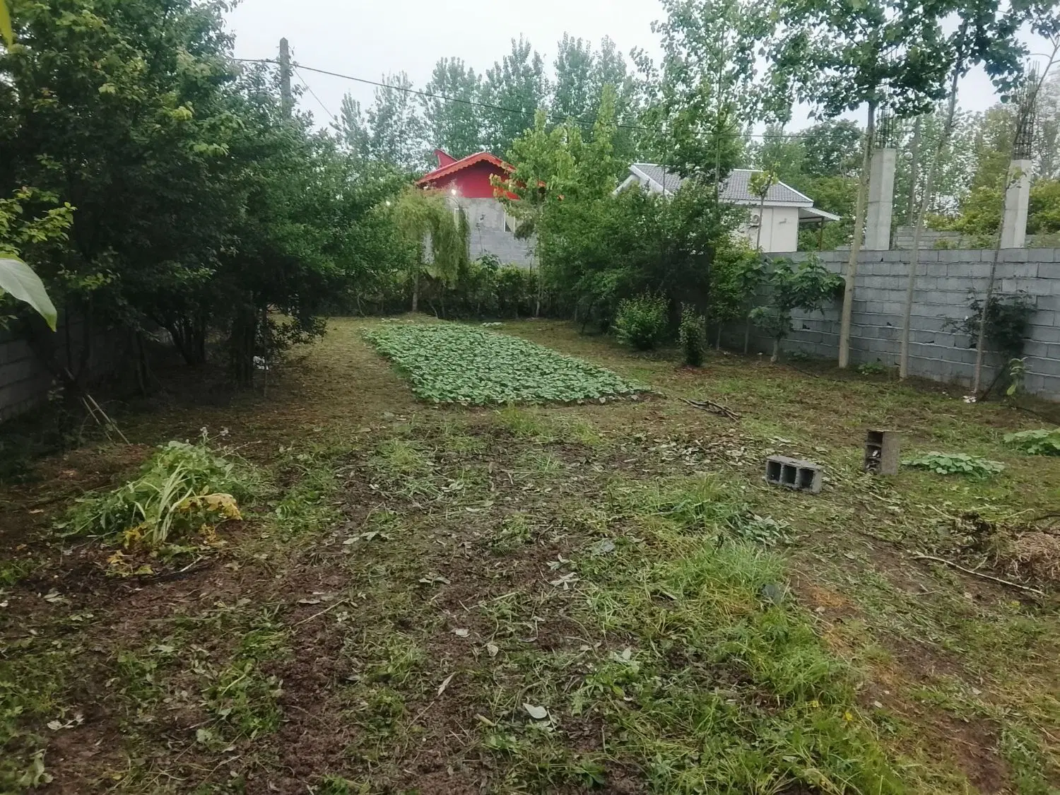 تصویر املاک 87835