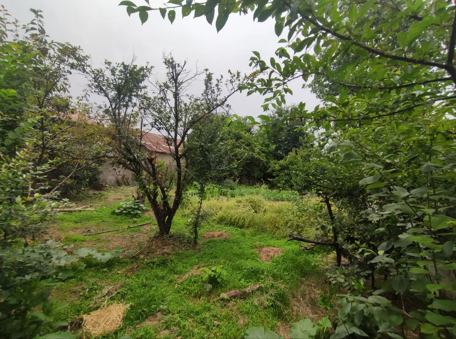 تصویر املاک 46940