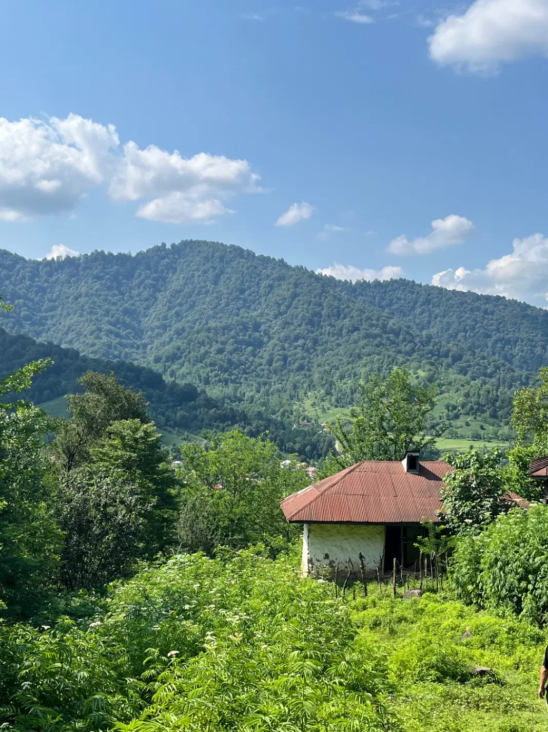 تصویر املاک 105601