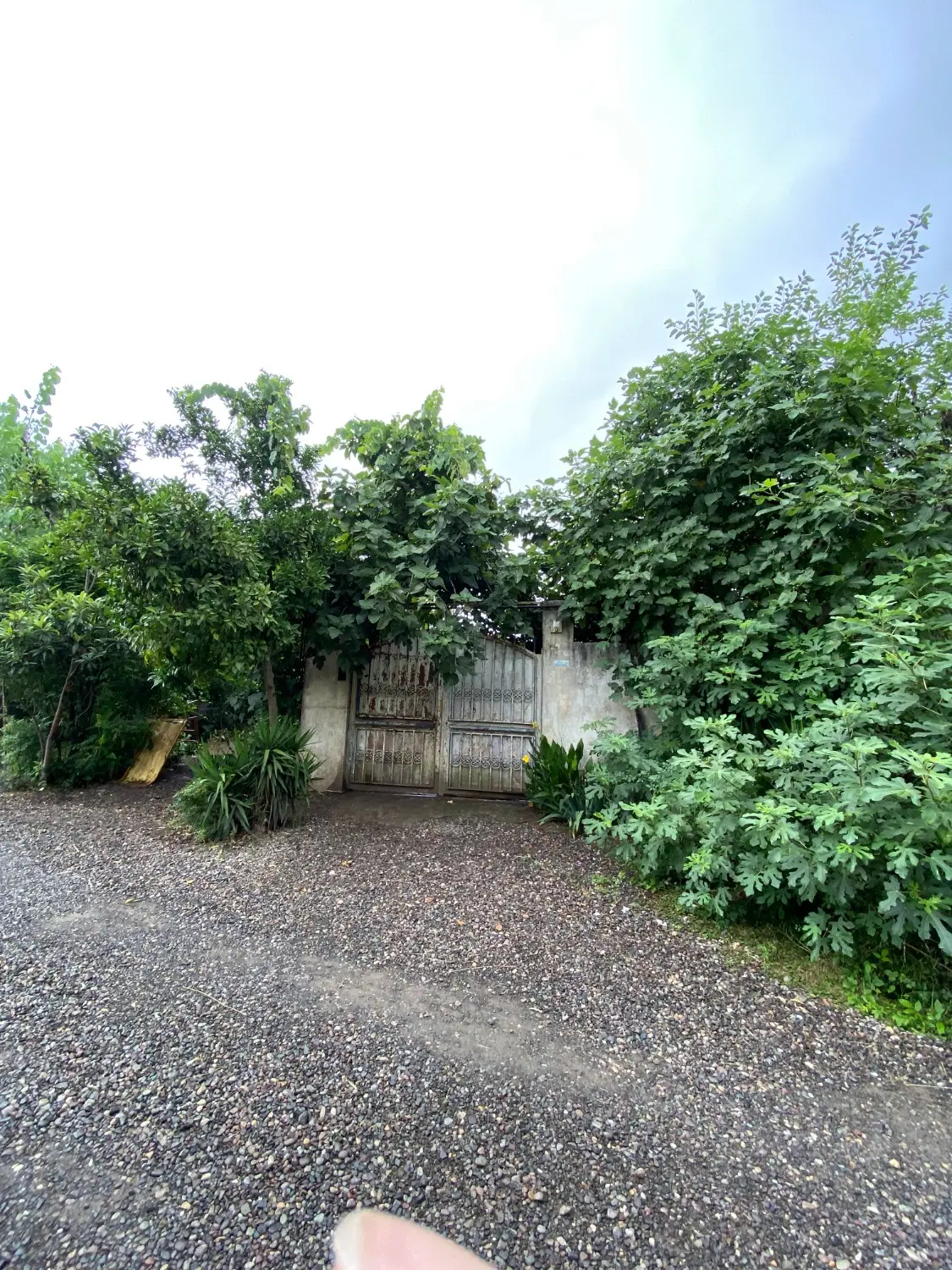 تصویر املاک 115756