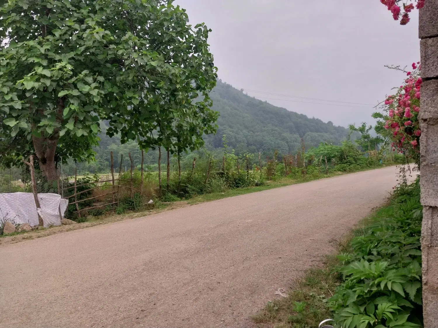 تصویر املاک 62640