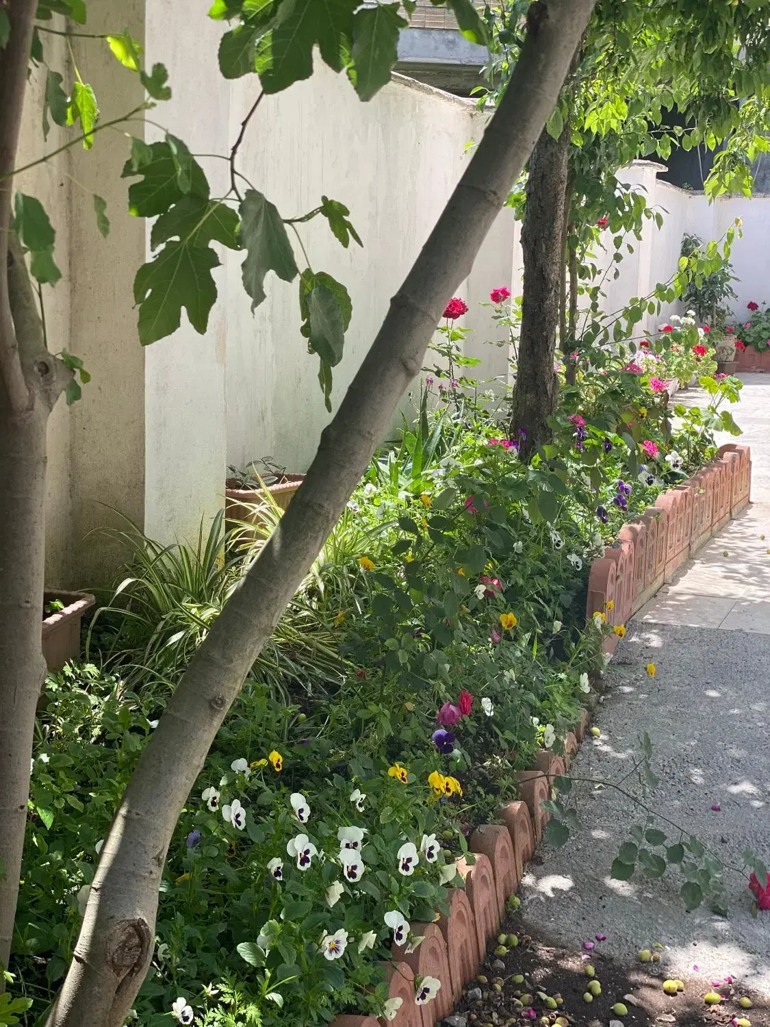 تصویر املاک 112182