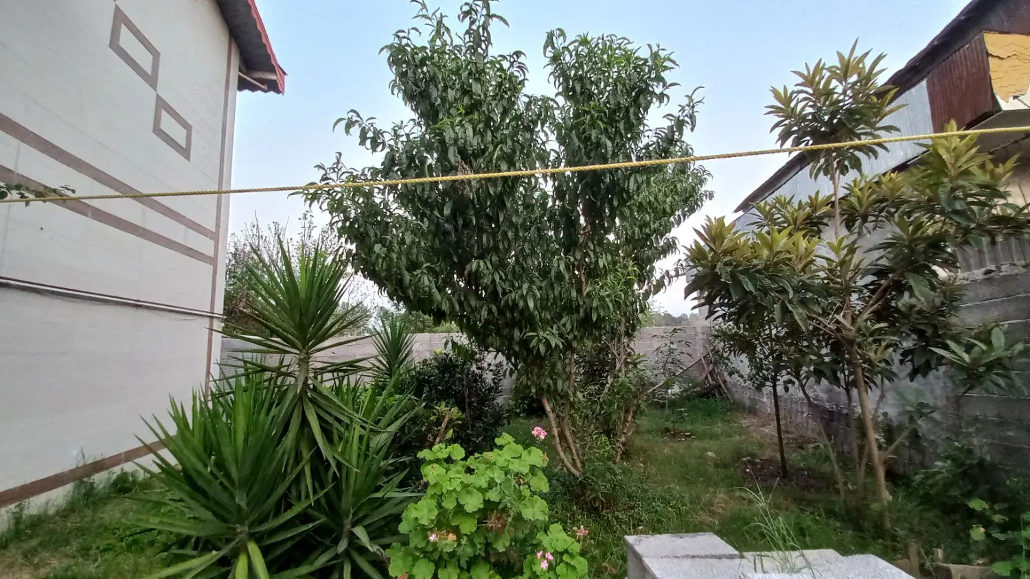 تصویر املاک 111214