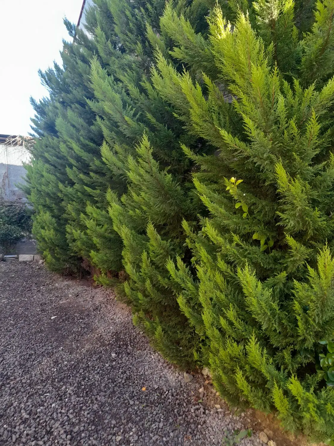 تصویر املاک 49910