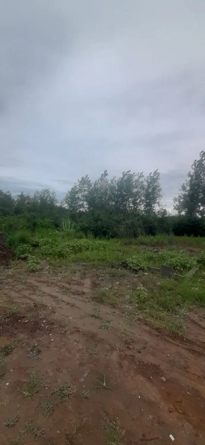 تصویر املاک 98767