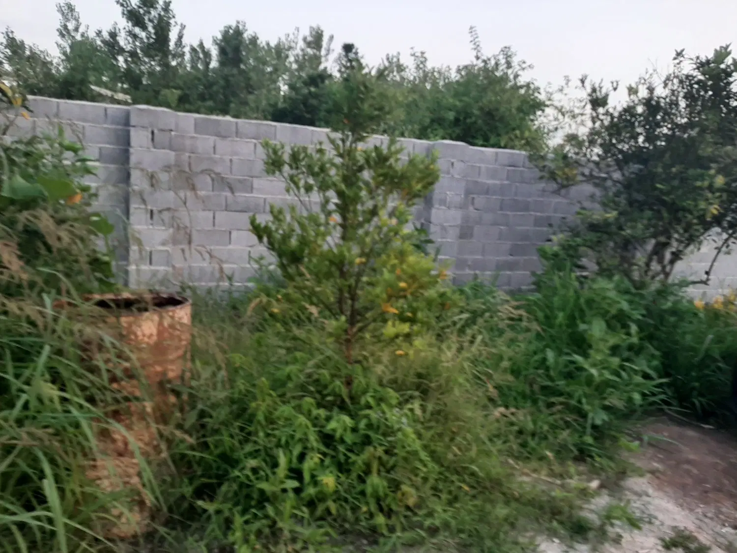 تصویر املاک 98691