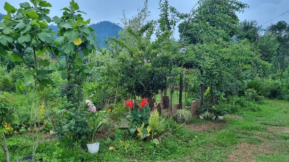 تصویر املاک 87471