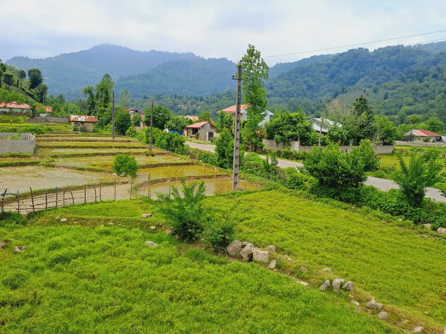 تصویر املاک 85138