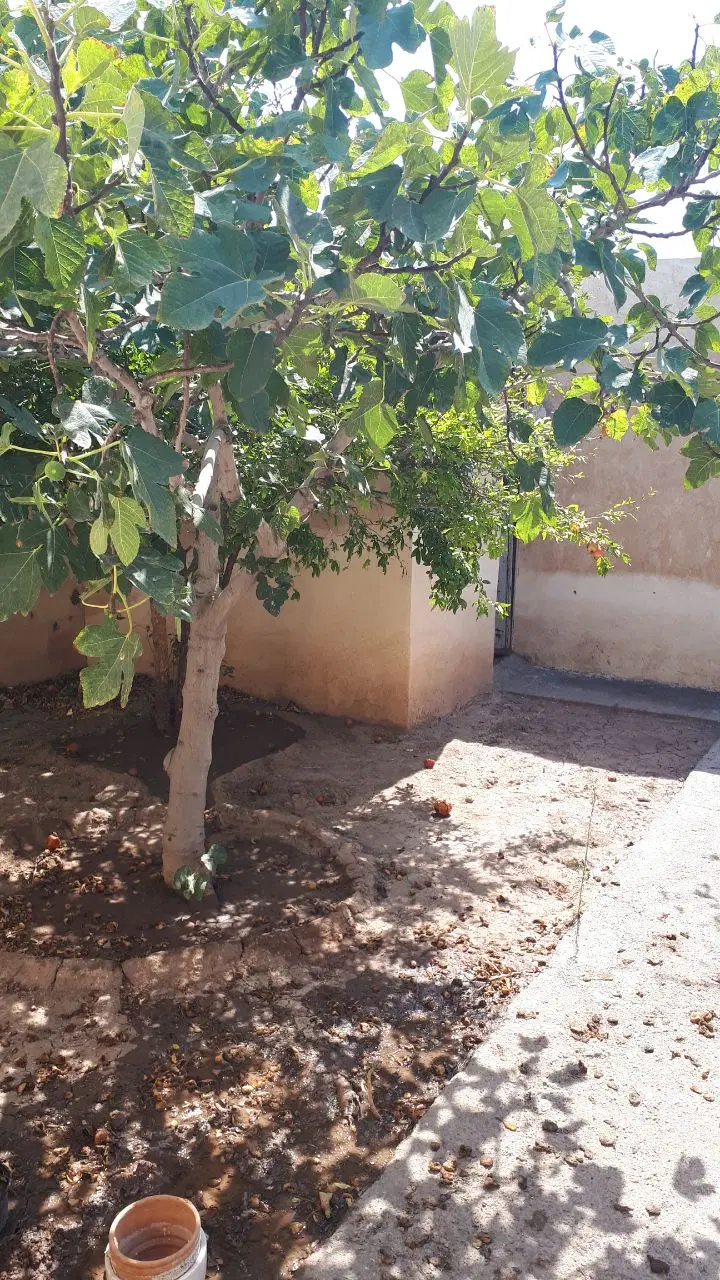 تصویر املاک 126439