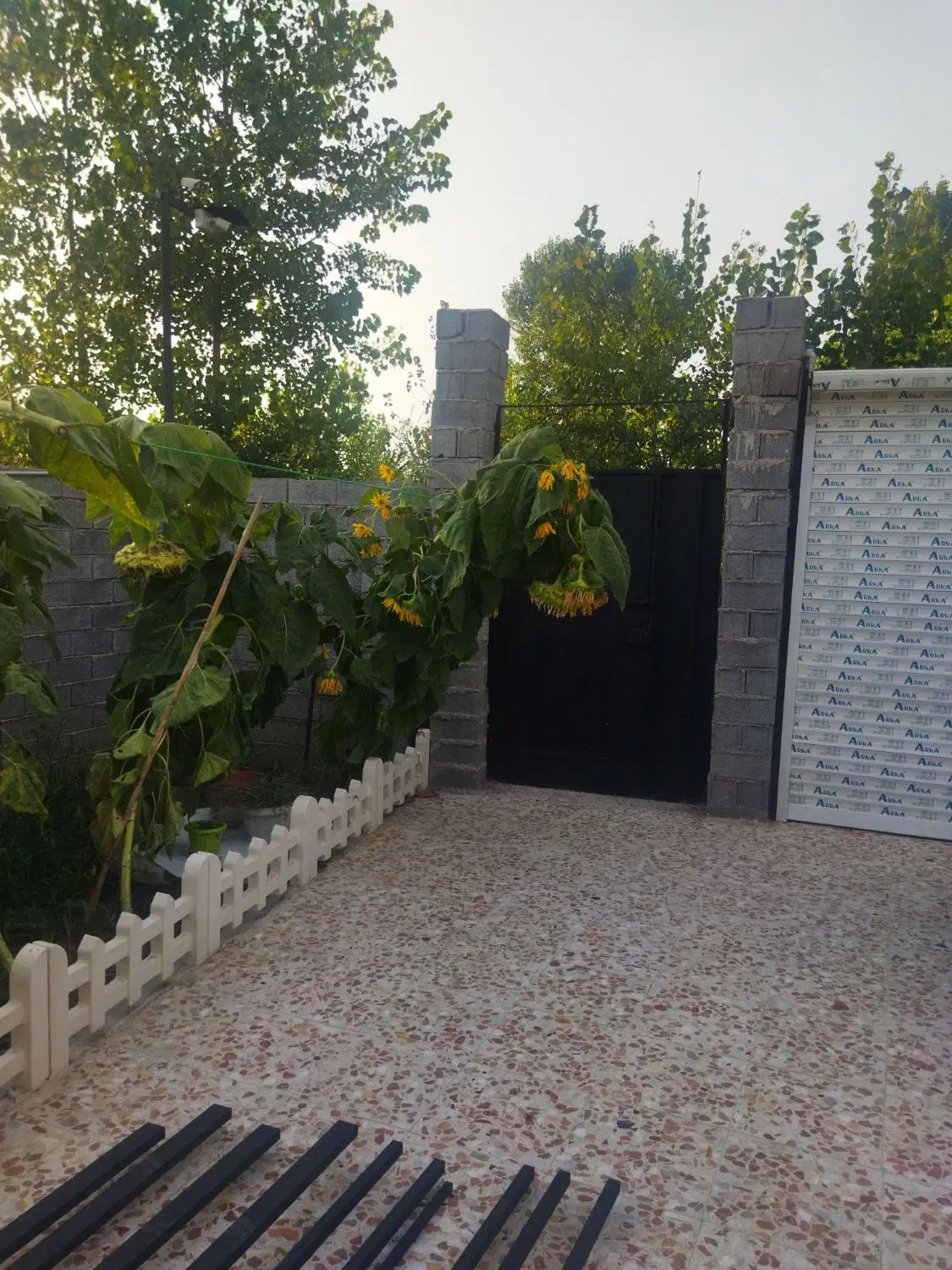 تصویر املاک 102800