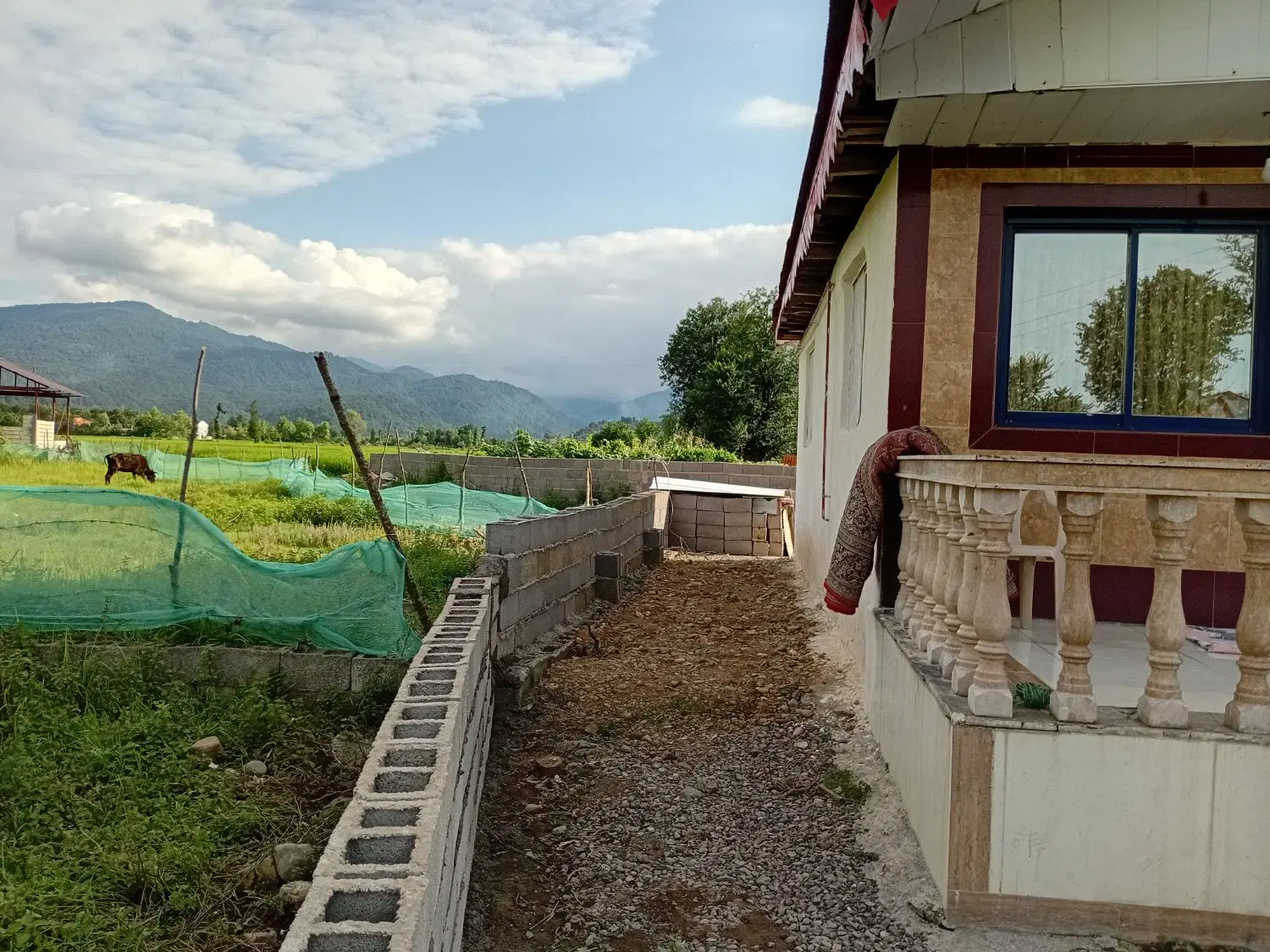 تصویر املاک 106272