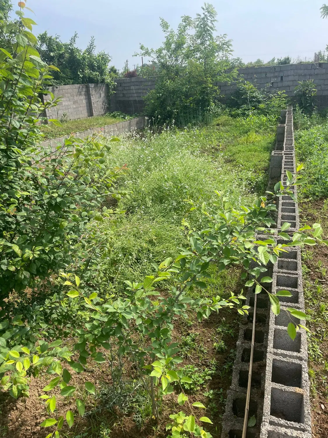 تصویر املاک 104722