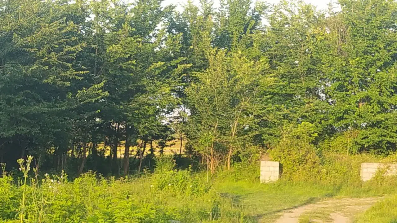 تصویر املاک 100823
