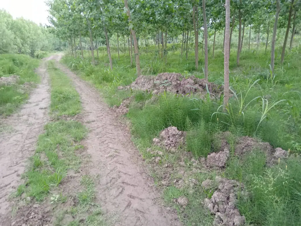 تصویر املاک 131545