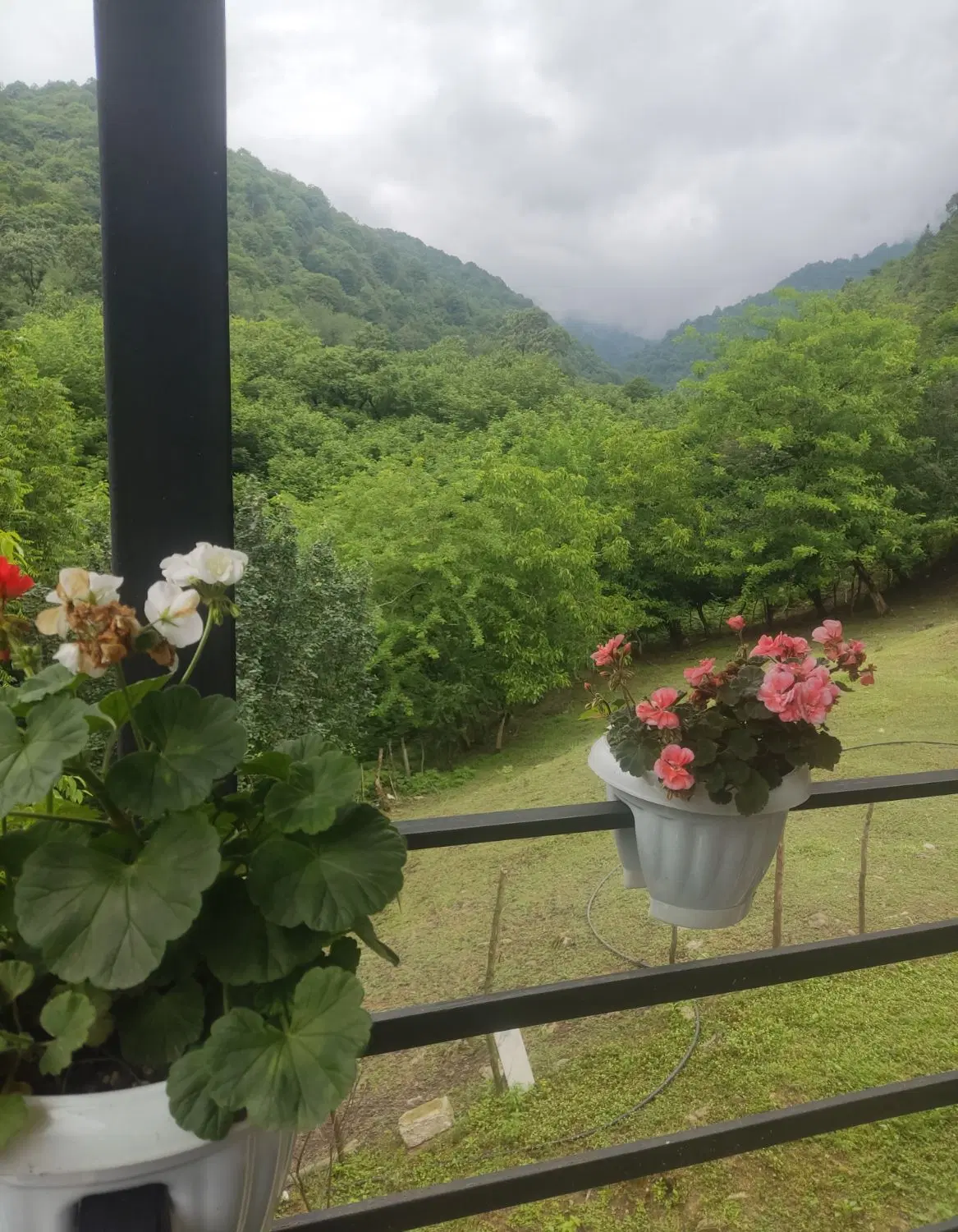 تصویر املاک 96705