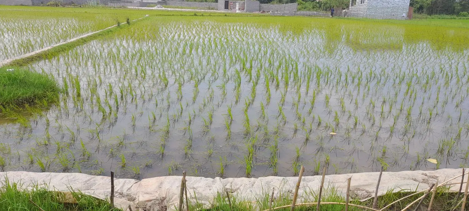 تصویر املاک 49105