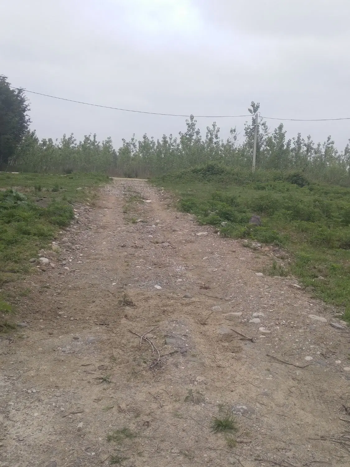 تصویر املاک 61992